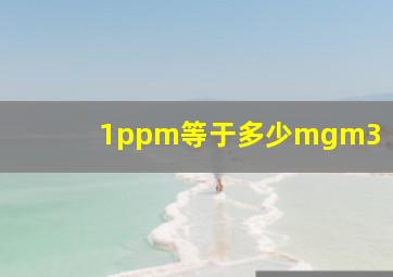1ppm等于多少mgm3(
