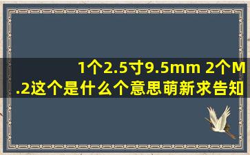 1个2.5寸9.5mm ,2个M.2这个是什么个意思,萌新求告知