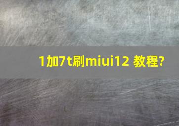 1加7t刷miui12 教程?