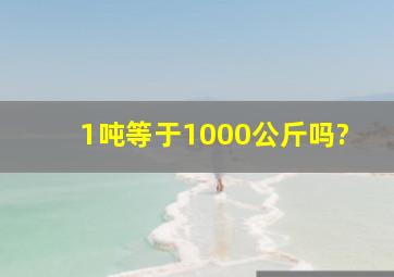 1吨等于1000公斤吗?