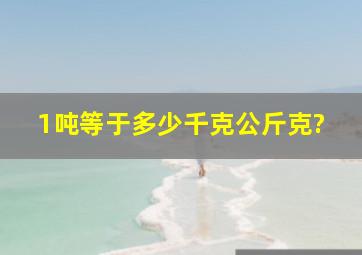 1吨等于多少千克、公斤、克?