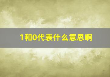 1和0代表什么意思啊