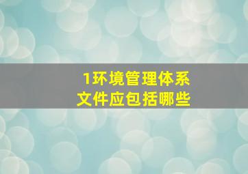 1环境管理体系文件应包括哪些