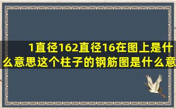 1直径16,2直径16在图上是什么意思,这个柱子的钢筋图是什么意思?