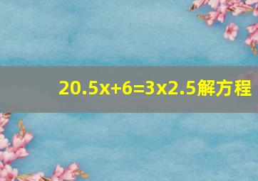 2(0.5x)+6=3x2.5(解方程)