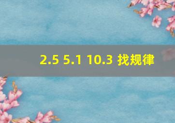 2.5 5.1 10.3 找规律