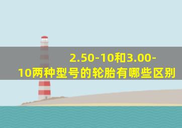 2.50-10和3.00-10两种型号的轮胎有哪些区别