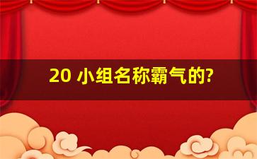 20 小组名称,霸气的?