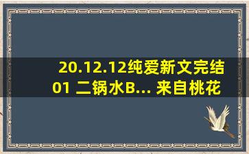 20.12.12纯爱新文完结 01 二锅水B... 来自桃花书馆 