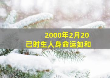 2000年2月20已时生人身命运如和