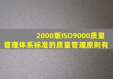 2000版ISO9000质量管理体系标准的质量管理原则有( )。