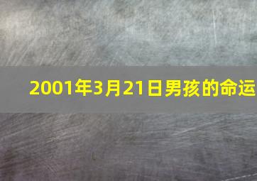 2001年3月21日男孩的命运