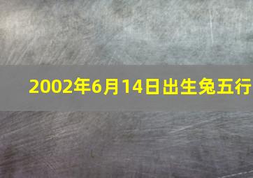 2002年6月14日出生兔五行