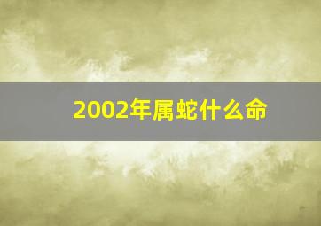 2002年属蛇什么命