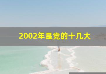 2002年是党的十几大 