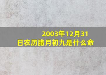 2003年12月31日农历腊月初九是什么命