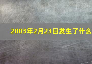 2003年2月23日发生了什么