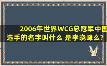 2006年世界WCG总冠军中国选手的名字叫什么 是李晓峰么?