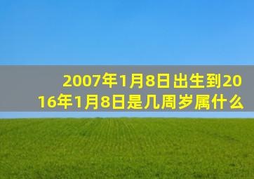 2007年1月8日出生到2016年1月8日是几周岁属什么