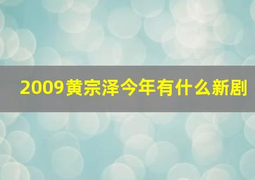 2009黄宗泽今年有什么新剧