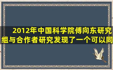 2012年,中国科学院()傅向东研究组与合作者,研究发现了一个可以同时...