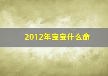 2012年宝宝什么命