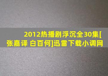 2012热播剧《浮沉》全30集[张嘉译 白百何]迅雷下载小调网