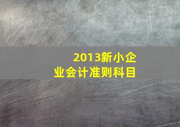 2013新小企业会计准则科目 