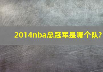 2014nba总冠军是哪个队?