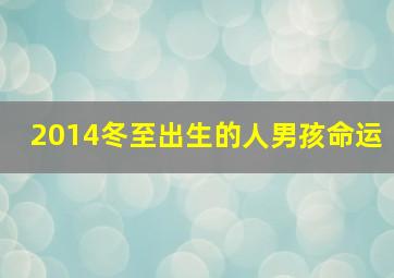 2014冬至出生的人男孩命运