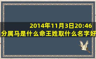 2014年11月3日20:46分属马是什么命,王姓,取什么名字好,男孩