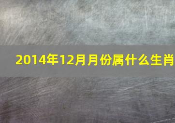 2014年12月月份属什么生肖