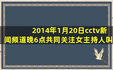 2014年1月20日cctv新闻频道晚6点共同关注女主持人叫什么?