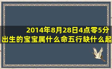 2014年8月28日4点零5分出生的宝宝属什么命五行缺什么起什么名好