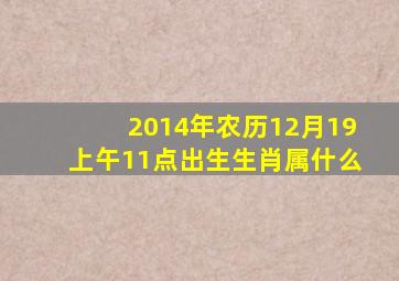 2014年农历12月19上午11点出生生肖属什么