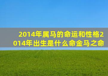 2014年属马的命运和性格(2014年出生是什么命(金马之命))