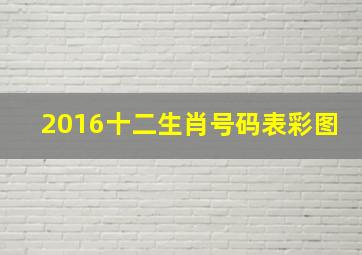 2016十二生肖号码表彩图