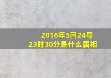 2016年5冃24号23时30分是什么属相