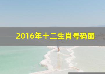 2016年十二生肖号码图