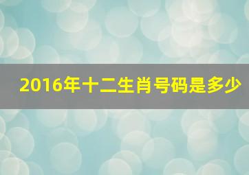 2016年十二生肖号码是多少