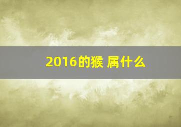 2016的猴 属什么