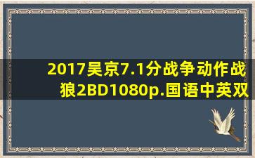 2017吴京7.1分战争动作《战狼2》BD1080p.国语中英双字迅雷下载/bt...