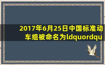 2017年6月25日中国标准动车组被命名为“”并于26日投入运行