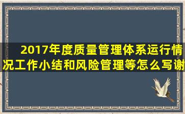 2017年度质量管理体系运行情况工作小结和风险管理等怎么写谢谢