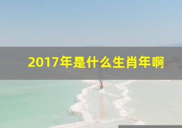 2017年是什么生肖年啊(