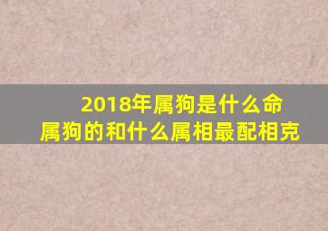 2018年属狗是什么命 属狗的和什么属相最配、相克