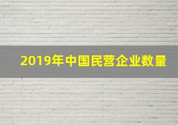 2019年中国民营企业数量