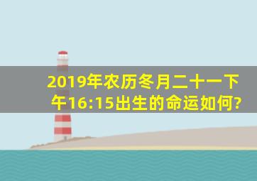 2019年农历冬月二十一下午16:15出生的命运如何?