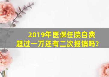 2019年医保住院自费超过一万还有二次报销吗?