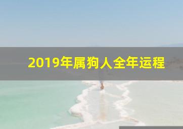 2019年属狗人全年运程